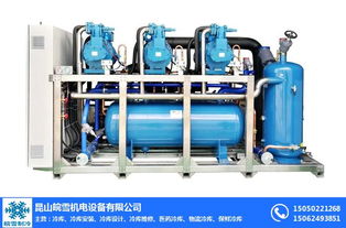 冷凍庫(kù) 皖雪機(jī)電冷庫(kù)建造 冷凍庫(kù)價(jià)格